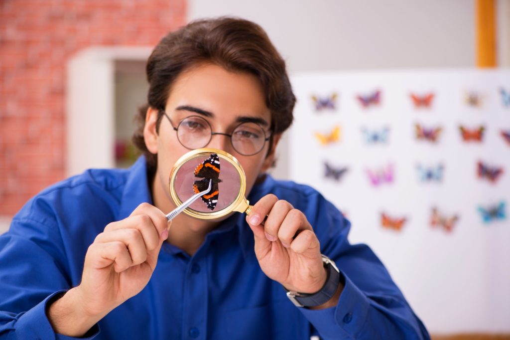Student entomologist studying new species of butterflies
