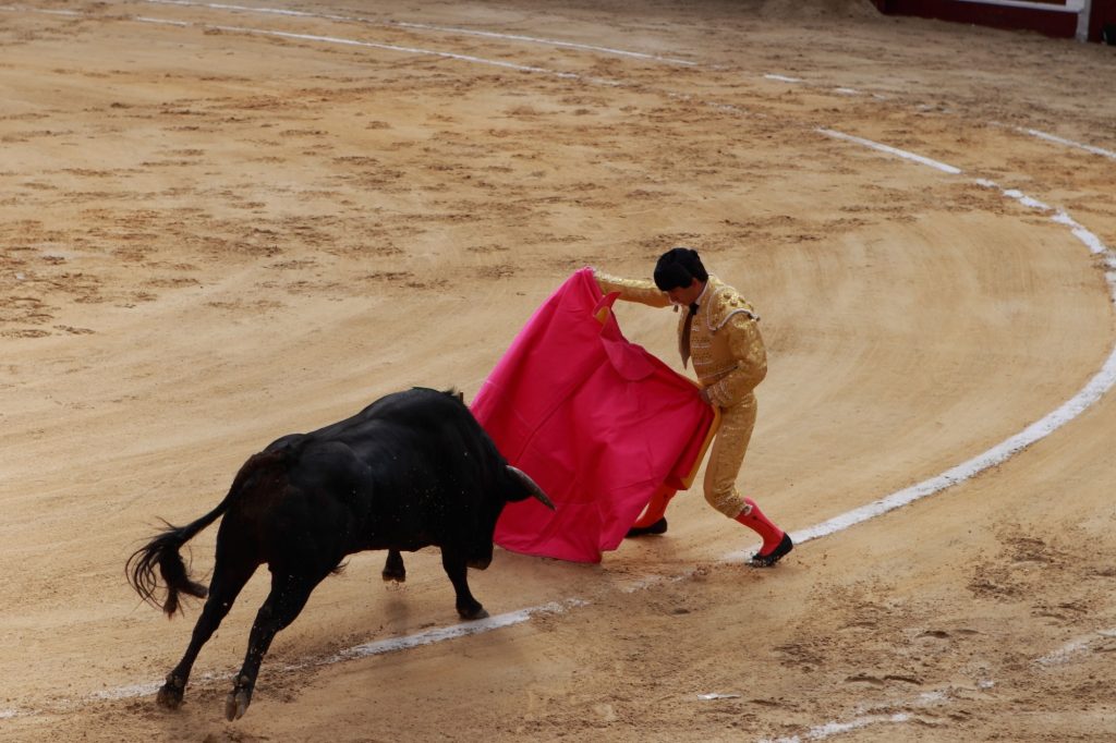 An unidentified bullfighter in action