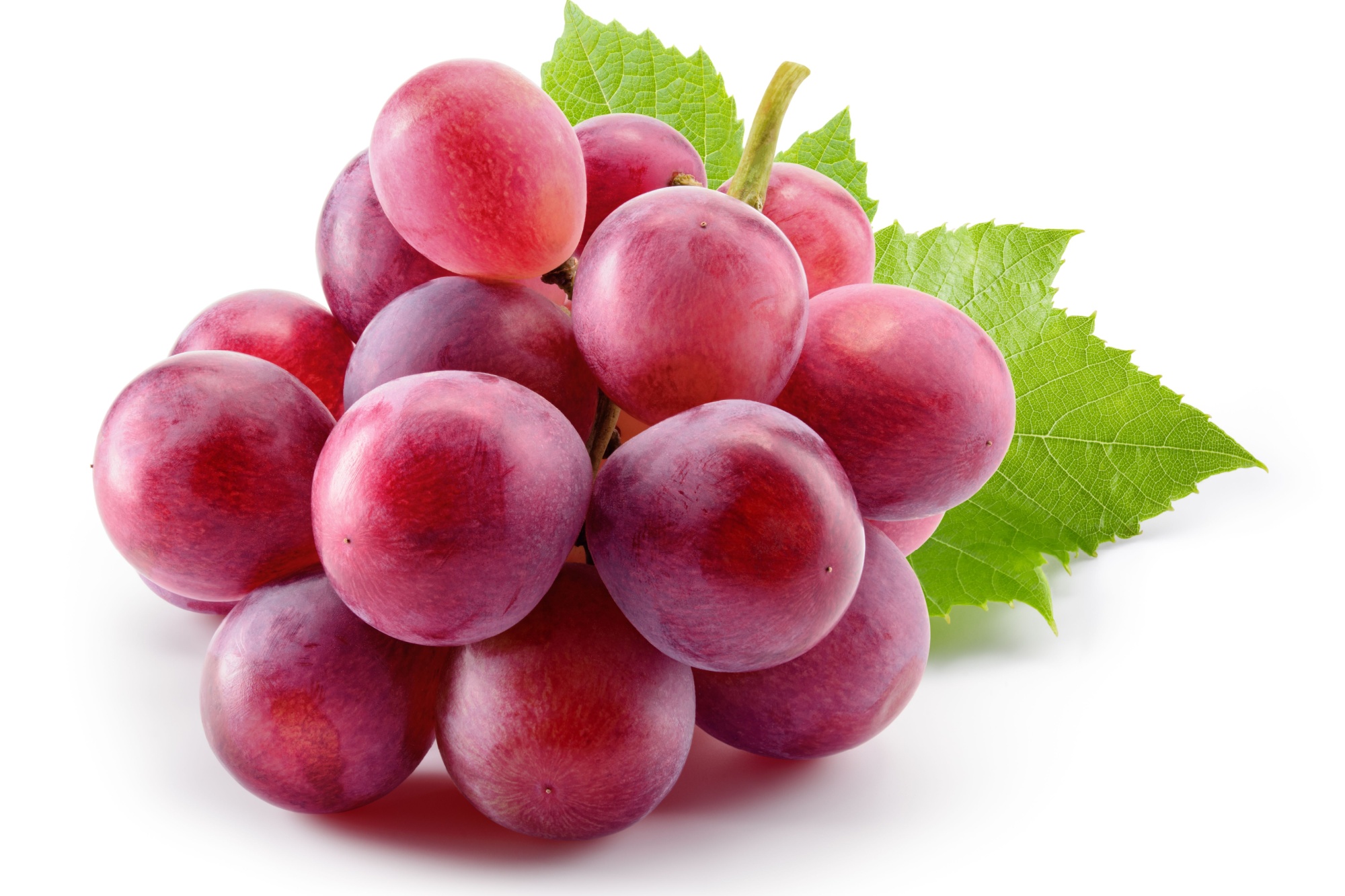 Purple grapes isolated. Bunch of pink grape with leaves on white background. Violet red grape with clipping path. Full depth of field. Perfect not AI grape, true photo.