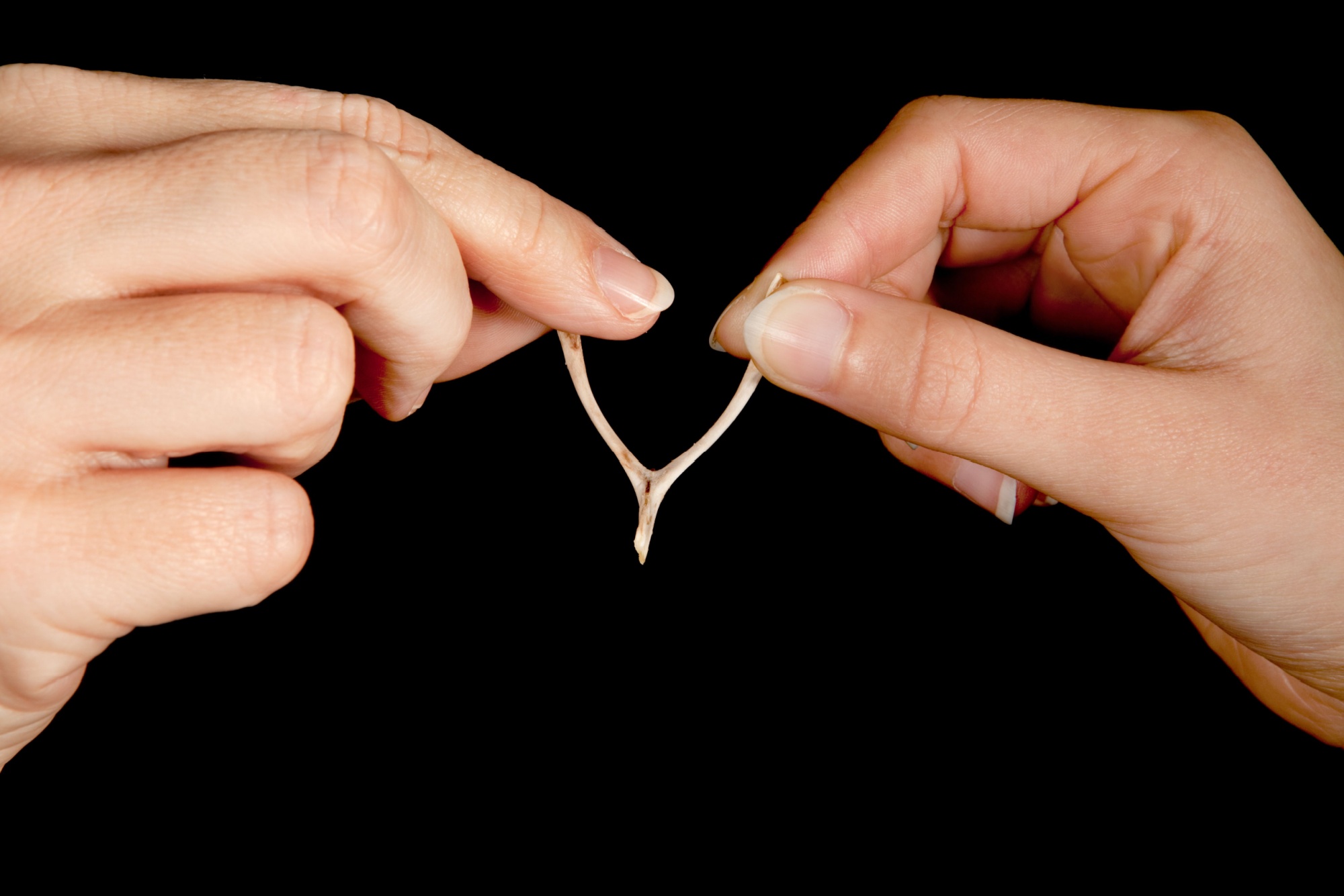 Hands of two people pulling apart a wishbone