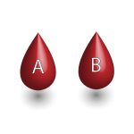 ABO Blood groups. Blood donation. Blood droplets., four blood types, A,B, AB and O groups, made up from combinations of the type A and type B antigens. Vector illustration.