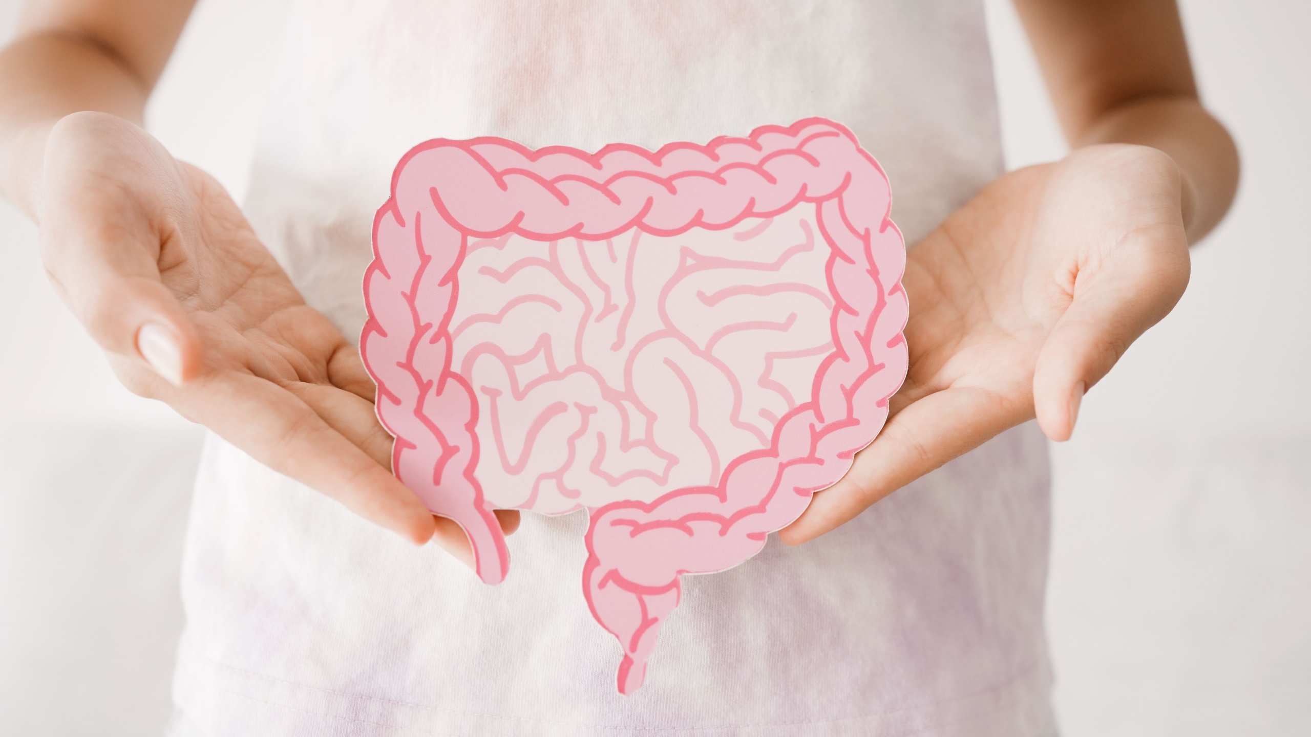 Preteen girl hands holding intestine shape, healthy bowel digestion, leaky gut, probiotic and prebiotic for gut health, preteen and teen gut health concept