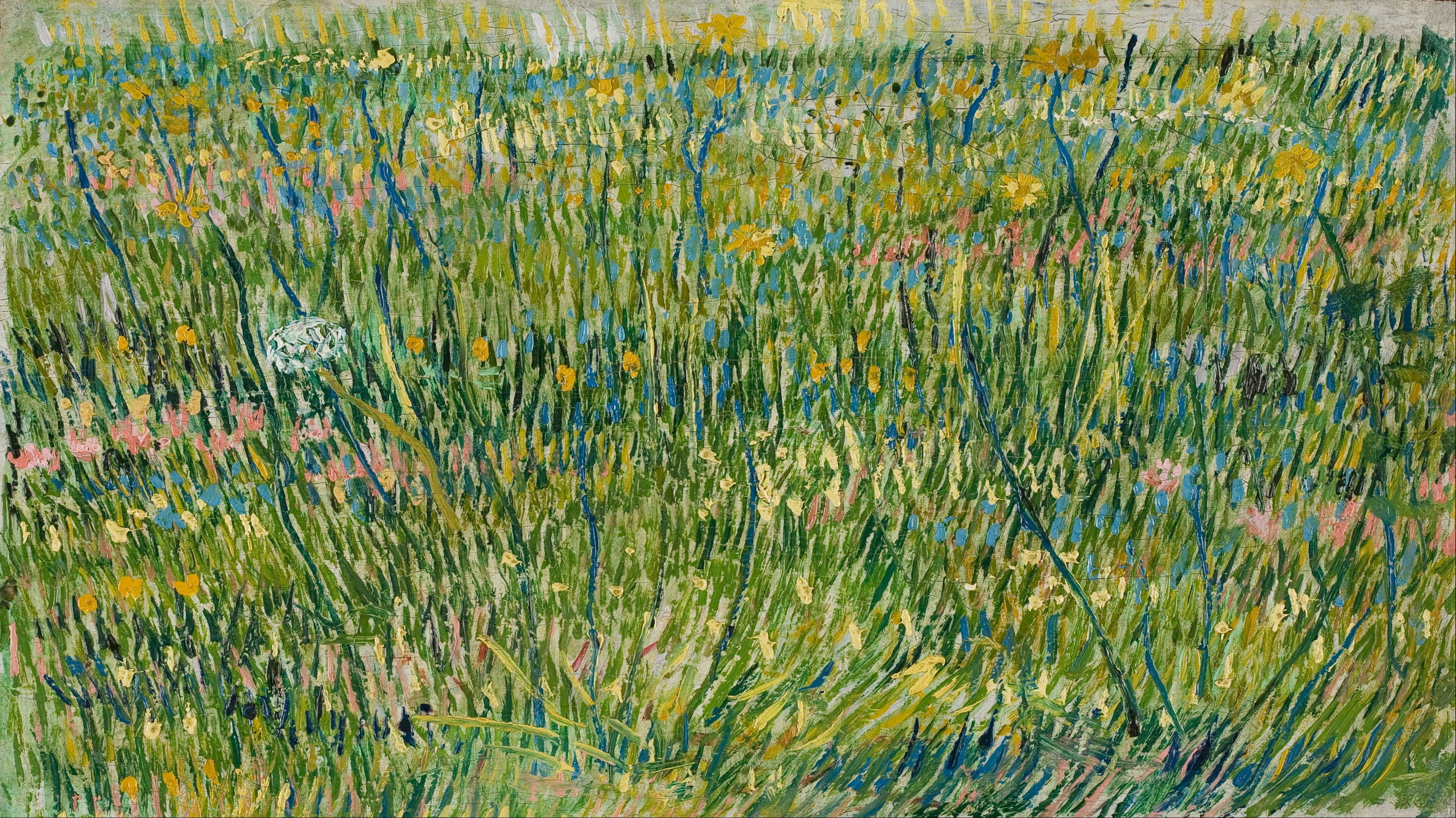 Vincent van Gogh - Patch of grass - Google Art Project