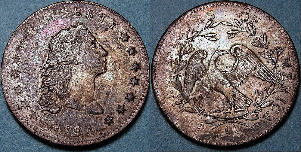 Flowing hair dollar